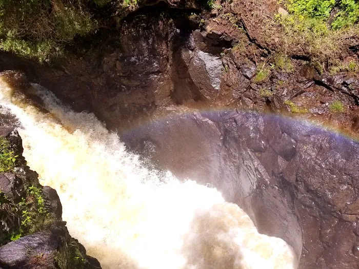 Cascade River State Park Group Campsites Picture 3