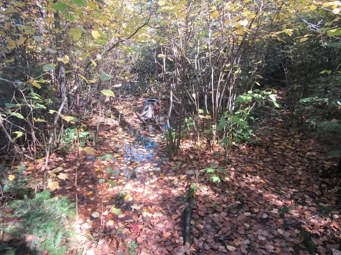Ledge Camp Picture 3