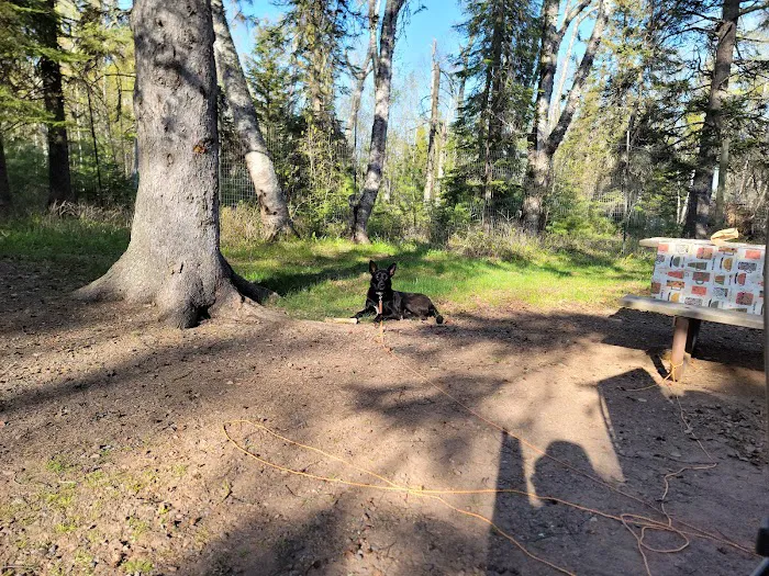 Temperance River Upper Campground Picture 10
