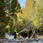 North Cross River Camp