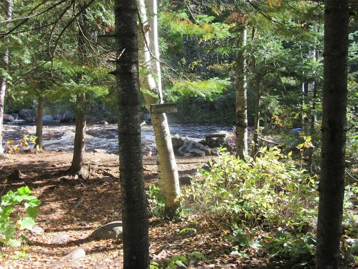 South Cross River Camp Picture 4