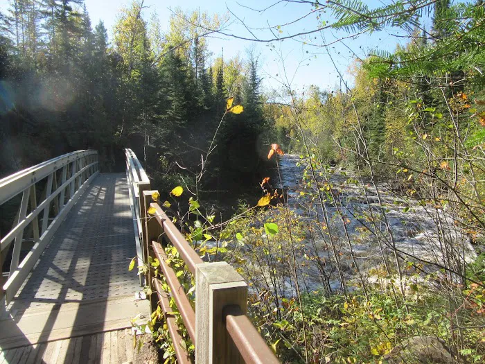 South Cross River Camp Picture 9