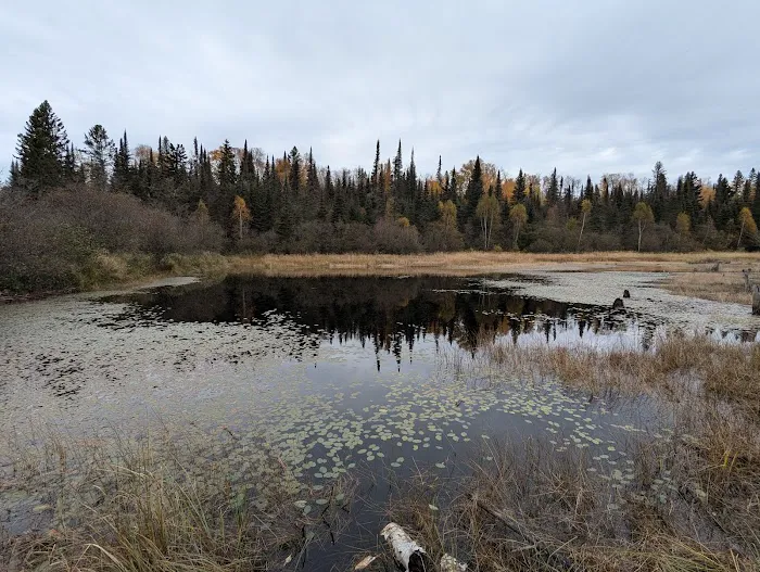 South Bally Creek Pond Camp Picture 9