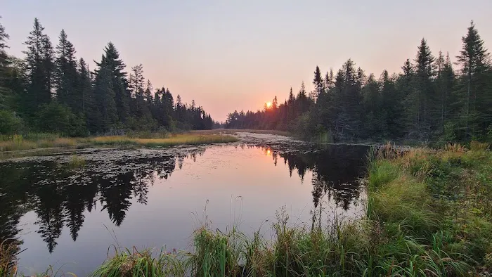 South Bally Creek Pond Camp Picture 4