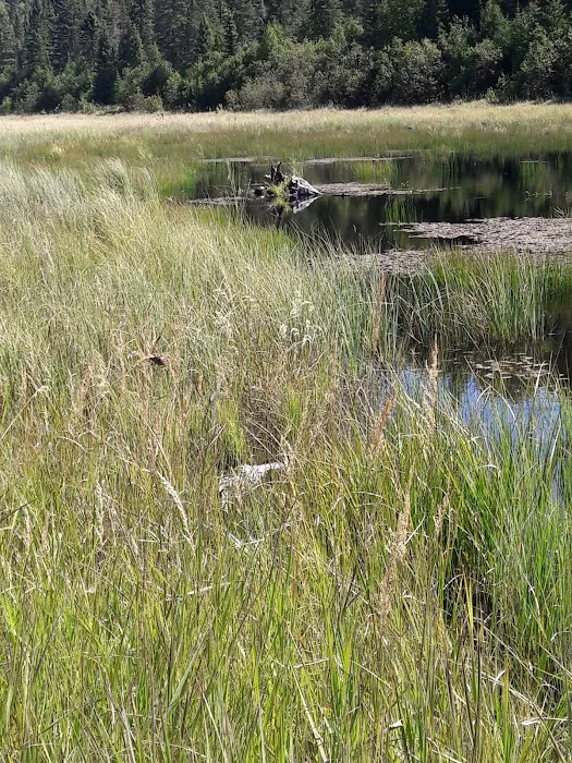 South Bally Creek Pond Camp Picture 8