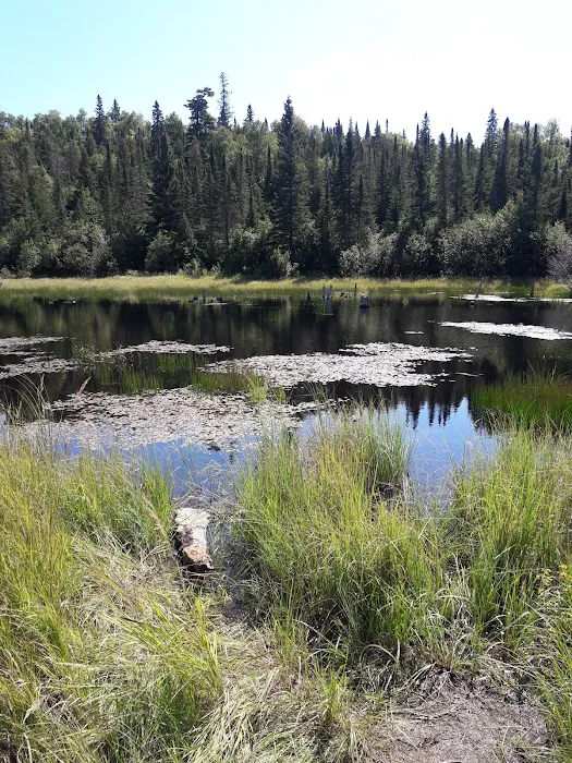 South Bally Creek Pond Camp Picture 1
