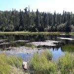 South Bally Creek Pond Camp