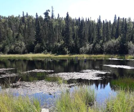 South Bally Creek Pond Camp