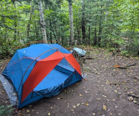 Dyers Creek Camp