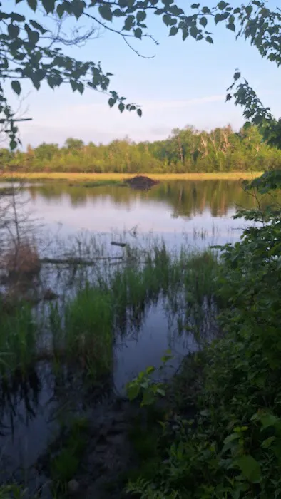 Sugarloaf Pond Camp Picture 1