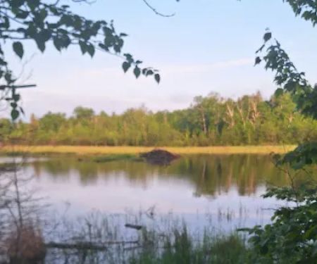Sugarloaf Pond Camp