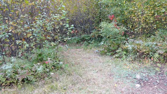 Sugarloaf Pond Camp Picture 4