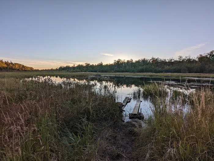 Sugarloaf Pond Camp Picture 5