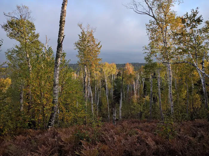 Crystal Creek Camp Picture 6