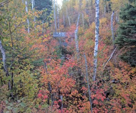 Crystal Creek Camp