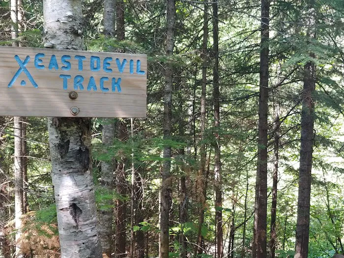 West Devil Track Camp Picture 10