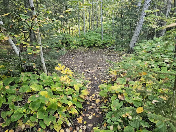 Woods Creek Camp Picture 3