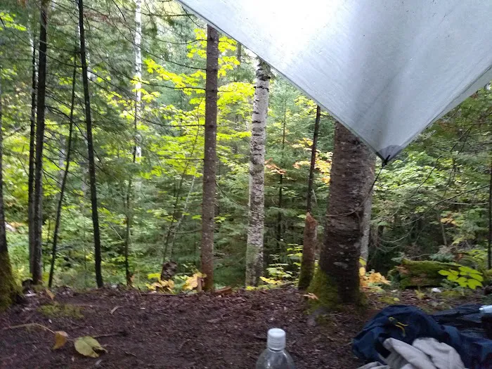Cliff Creek Camp Picture 2