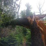 Cascade River Rustic Campground