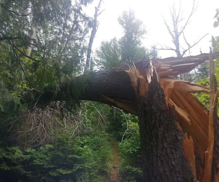 Cascade River Rustic Campground