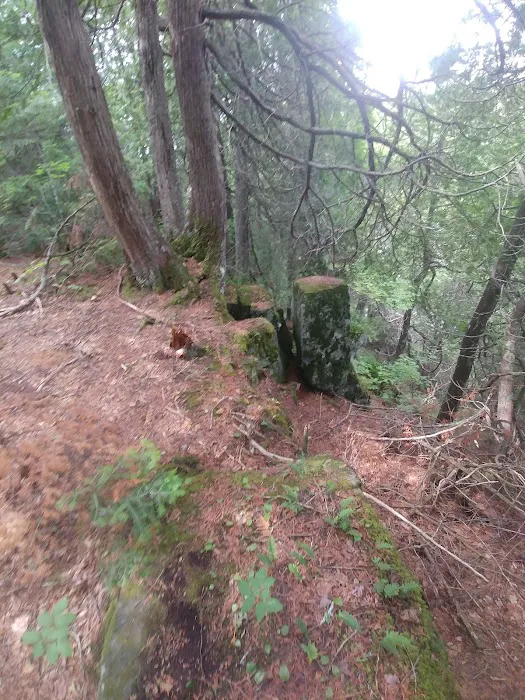 Cascade River Rustic Campground Picture 8