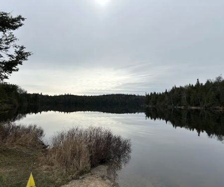 Superior National Forest Campsite #2150