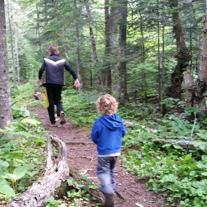 Kimball Creek Camp Picture 10