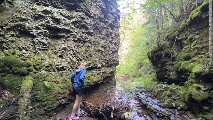 West Fork Kadunce River Camp Picture 1