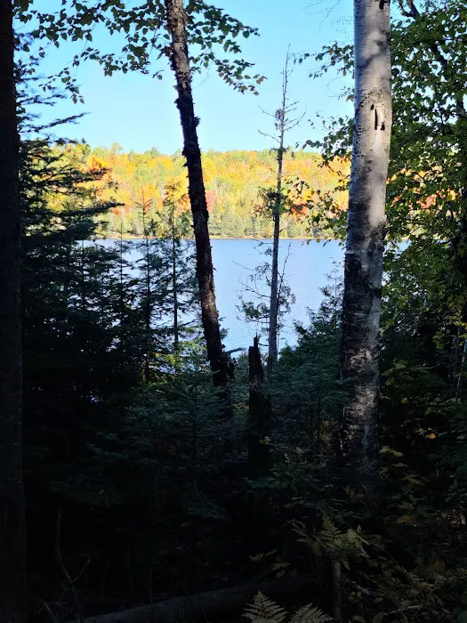 Kimball Lake Campground Picture 10