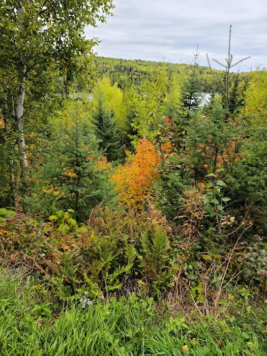 Kimball Lake Campground Picture 3