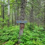 North Little Brule River Camp