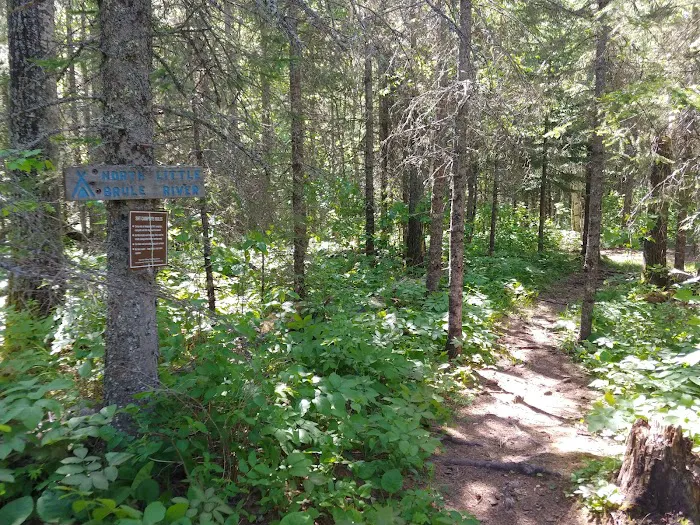 North Little Brule River Camp Picture 3