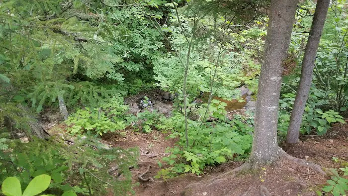 South Little Brule River Camp Picture 6