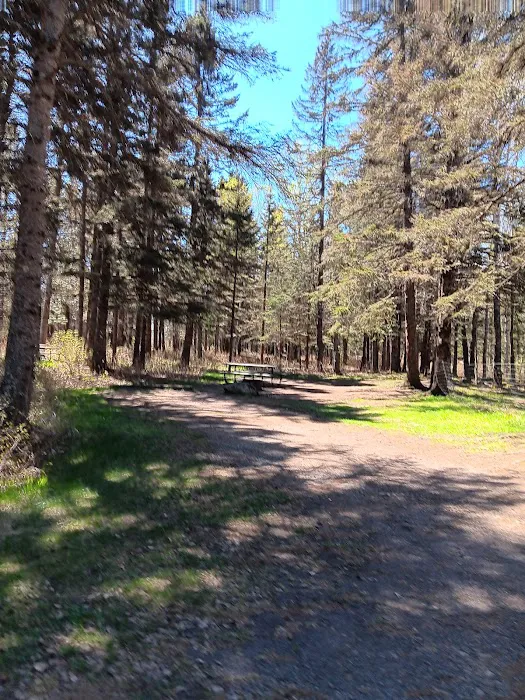 Judge C.R. Magney Campground Picture 5