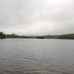 BWCA Campsite #767
