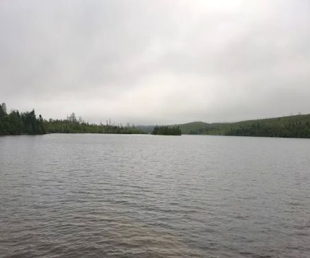 BWCA Campsite #767