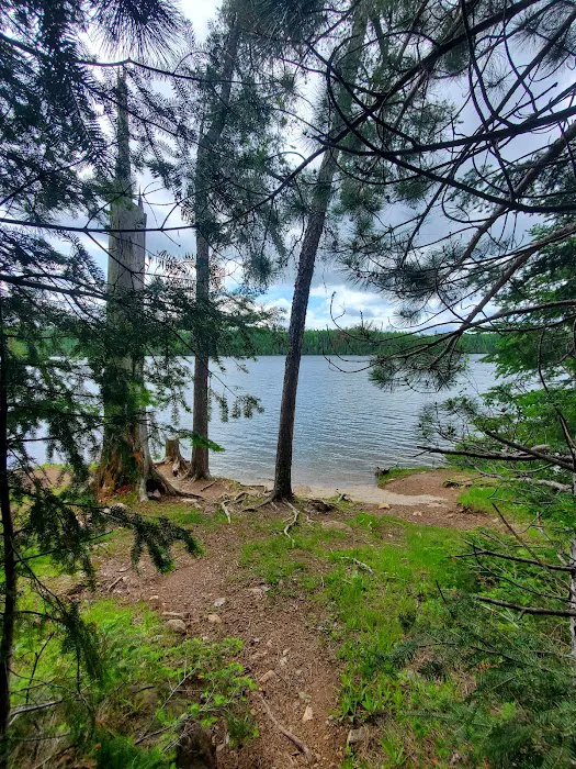 Flour Lake Campground Picture 5