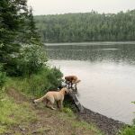 East Bearskin Lake Campground