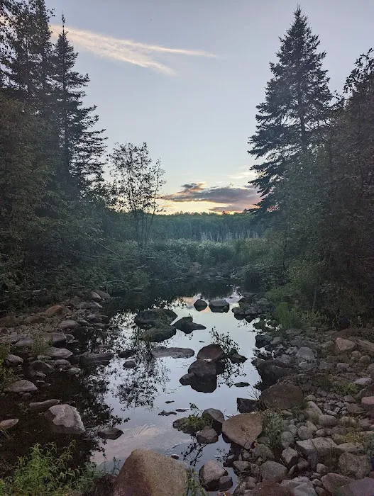 South Carlson Pond Camp Picture 1