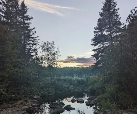 South Carlson Pond Camp