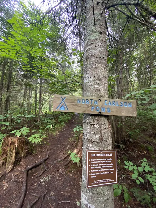 North Carlson Pond Camp Picture 7