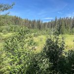 North Carlson Pond Camp