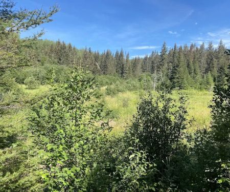 North Carlson Pond Camp