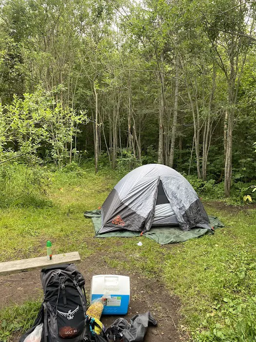 North Carlson Pond Camp Picture 6