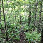 Woodland Caribou Pond Camp
