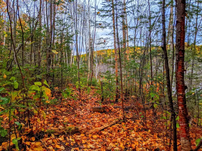 Woodland Caribou Pond Camp Picture 7