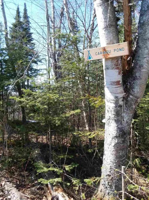 Woodland Caribou Pond Camp Picture 2