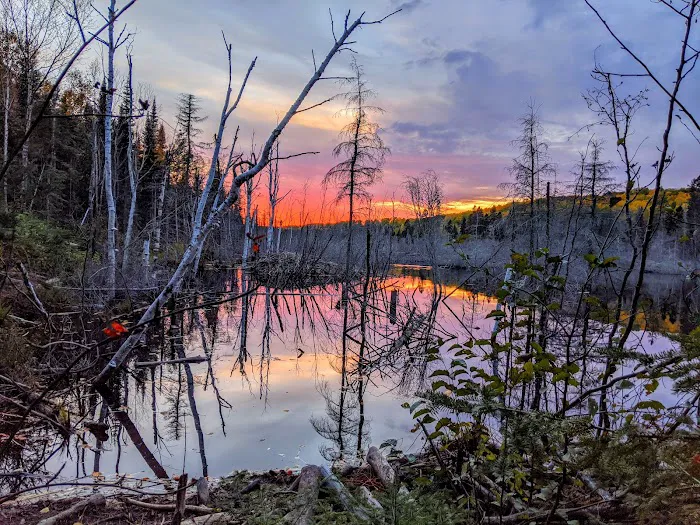 Woodland Caribou Pond Camp Picture 5