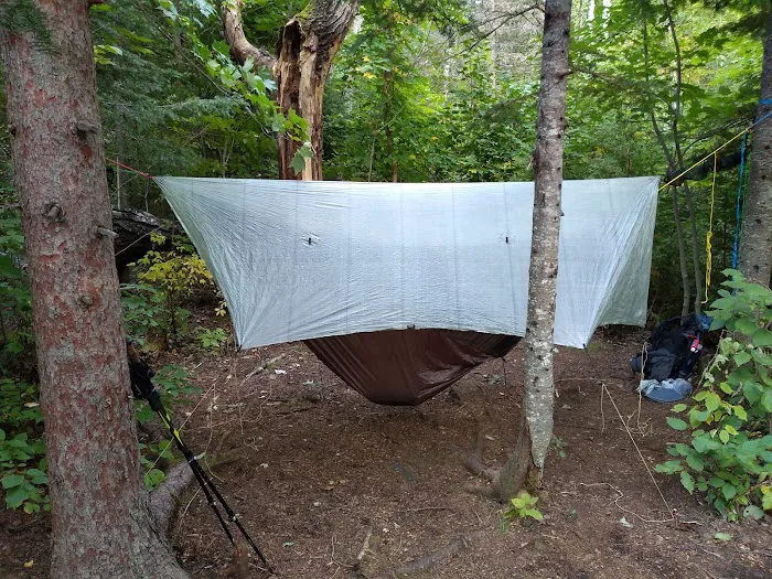 Jackson Creek Camp Picture 6