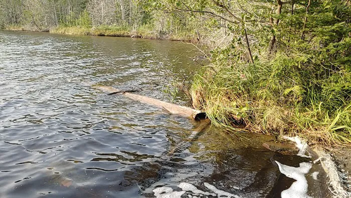 Otter Lake Campsite Picture 9